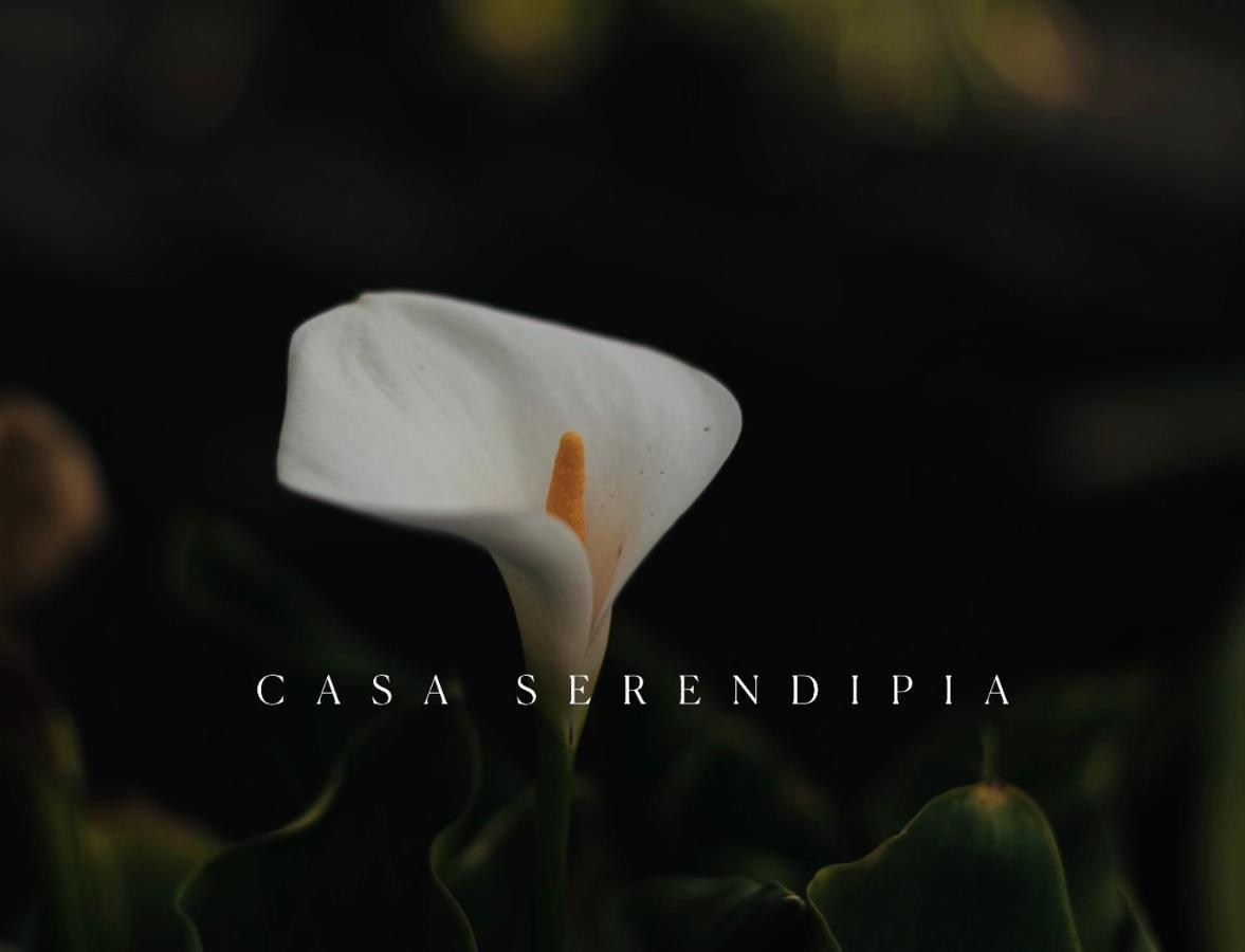Casa Serendipia La Asomada  Exteriér fotografie